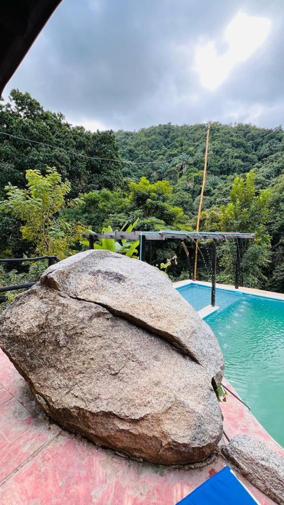 Minca Cabana La Roca Santa Marta  Eksteriør billede