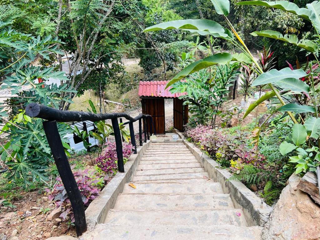 Minca Cabana La Roca Santa Marta  Eksteriør billede
